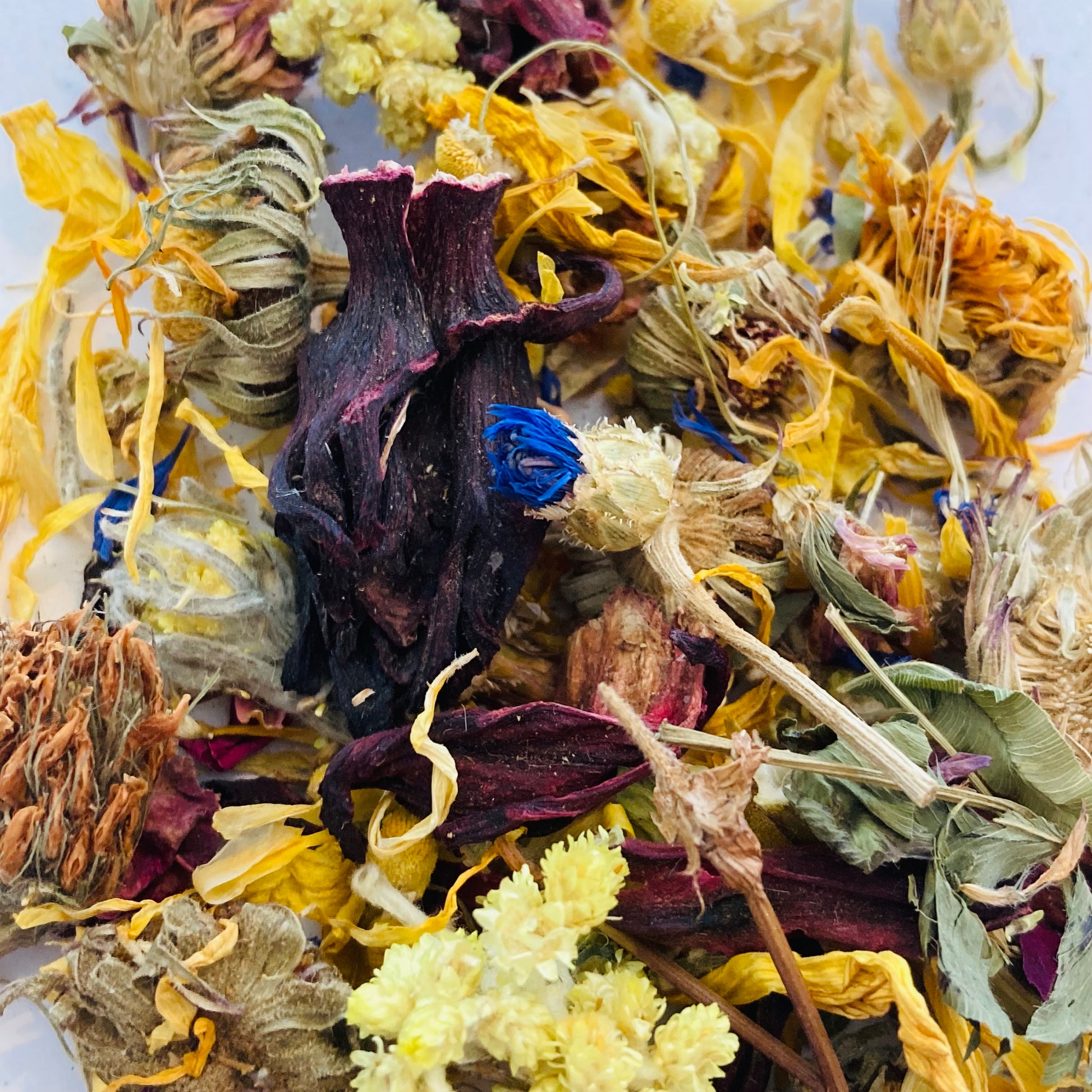 Mélange Feux D'artifices/Fireworks Blend
Mélange de fleurs séchées 
Blend of dried flowers