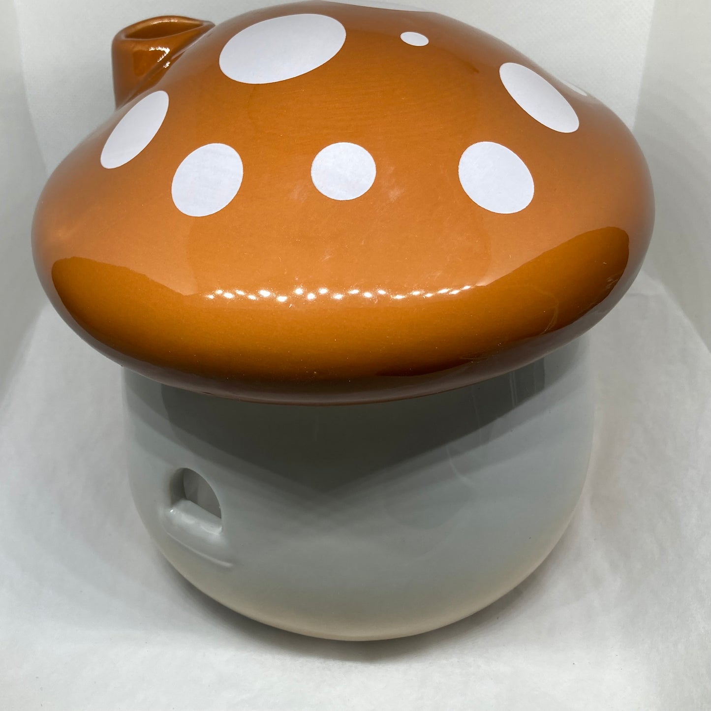 Cachette champignon XL