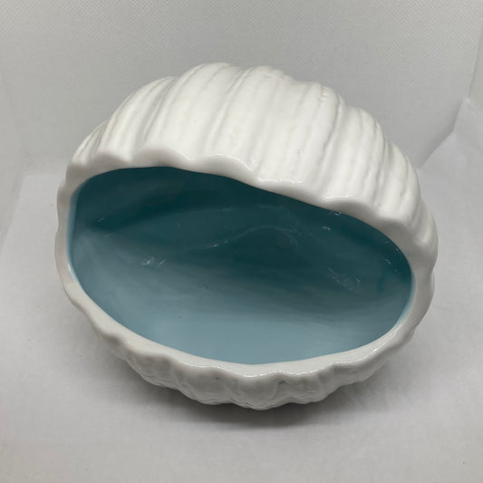 Blue sea shell hide